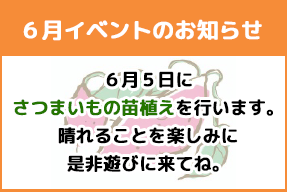 イベント情報